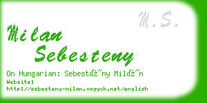 milan sebesteny business card